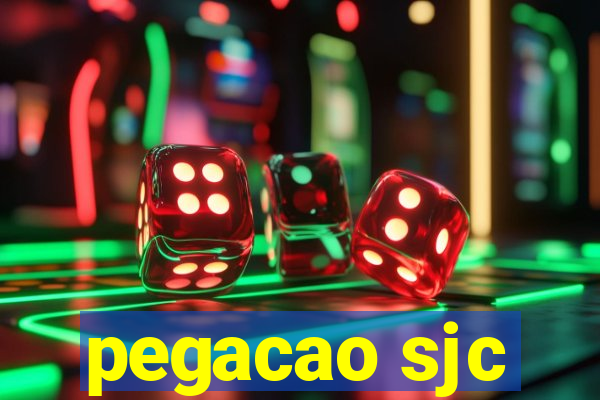 pegacao sjc